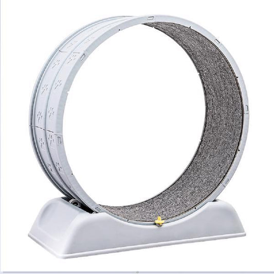 Cat Running Wheel