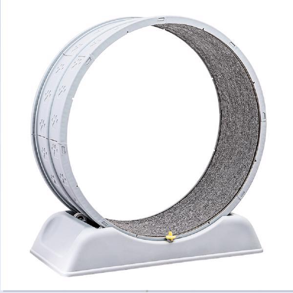 Cat Running Wheel